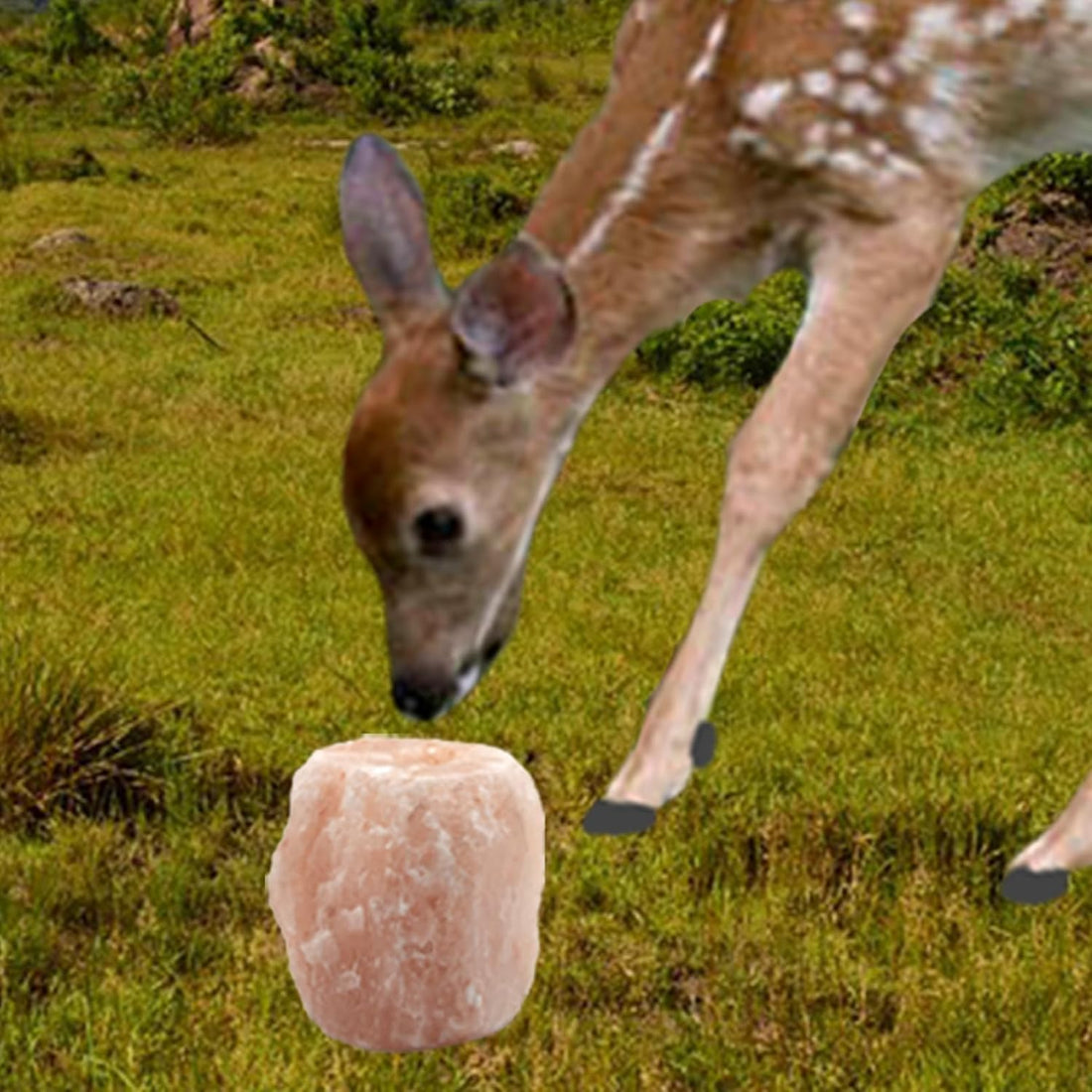 Himalayan Salt Lick Natural Minerals Block on Rope