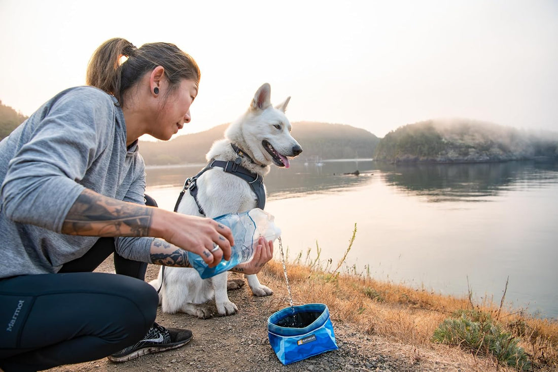 Ruffwear, Quencher Collapsible Dog Bowl