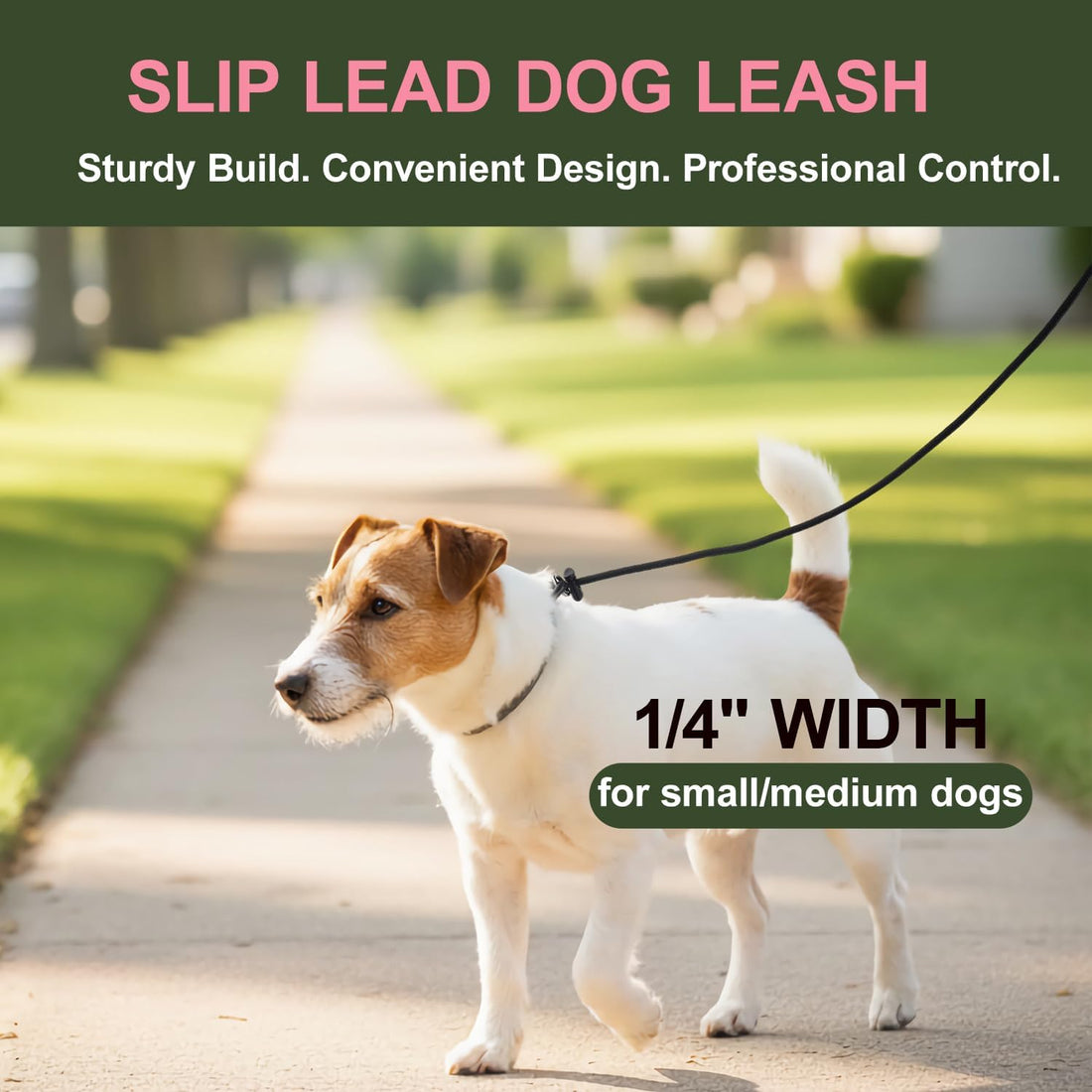 Slip Lead Dog Leash 6ft Dog Training Leads 1/4” Nylon Rope Pet Lead