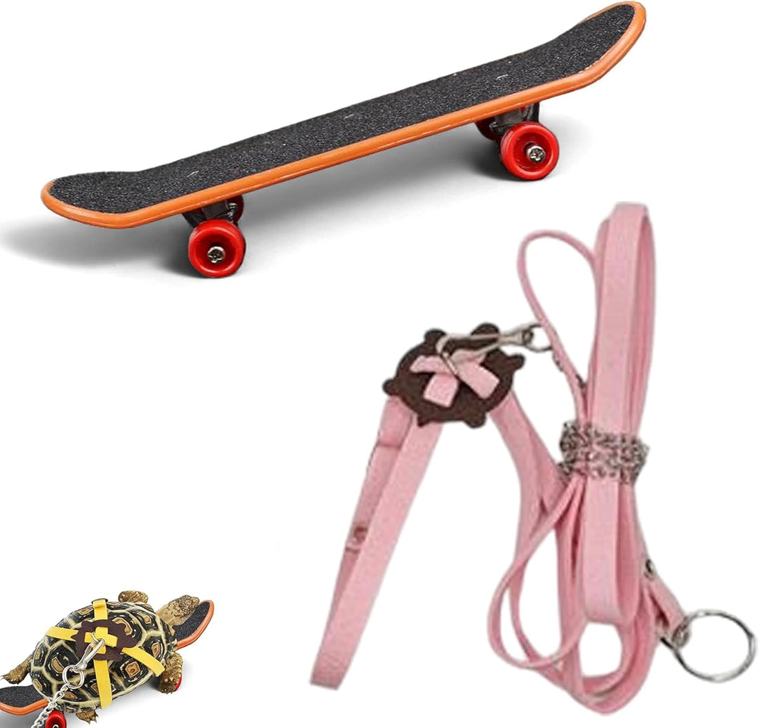 Adjustable Tortoise Leash and Funny Skateboard Set
