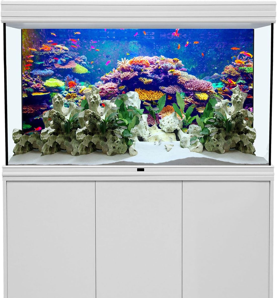 Undersea Aquarium Background 24x12 in Coral Tropical Fish Tank