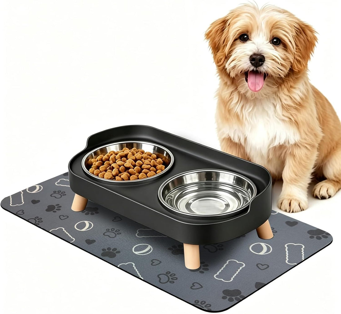 Elevated Dog Bowl, Raised Feeding Stand with Mat for Small Dogs Under