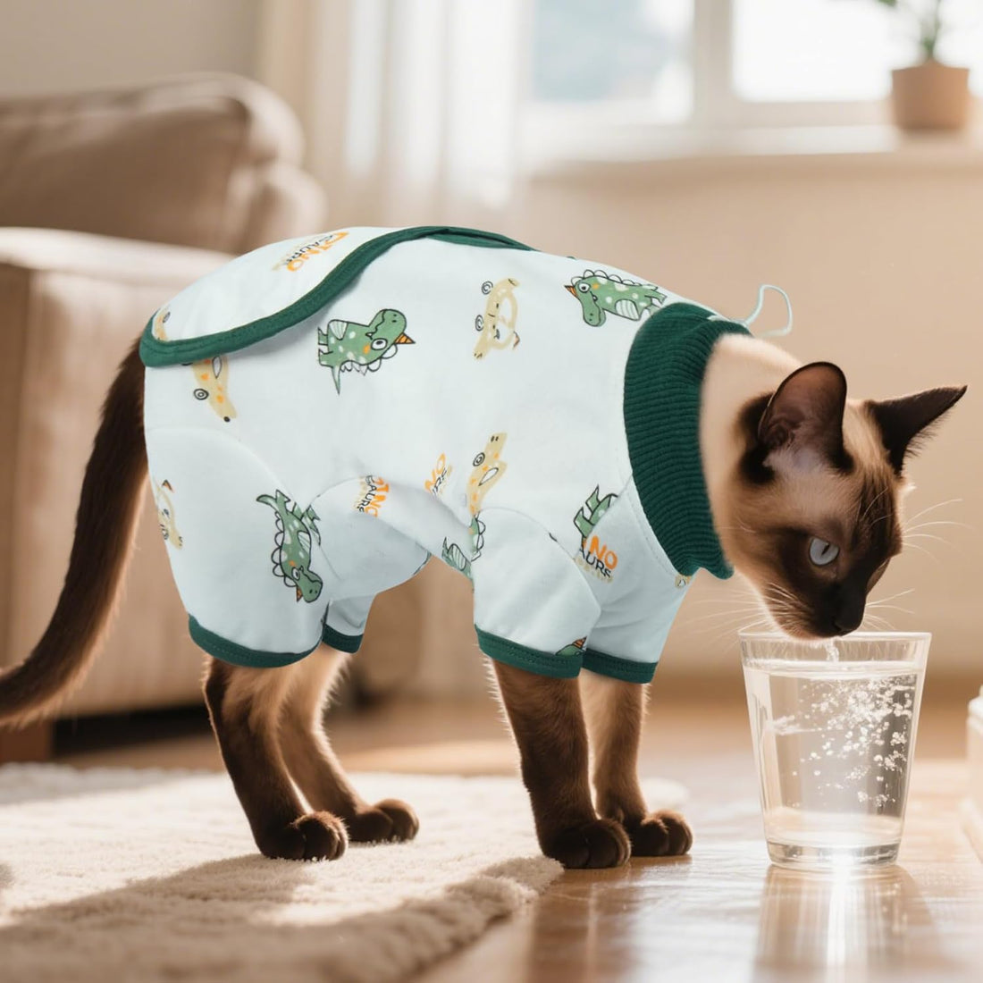 DENTRUN Cat Surgery Recovery Suit Female Male