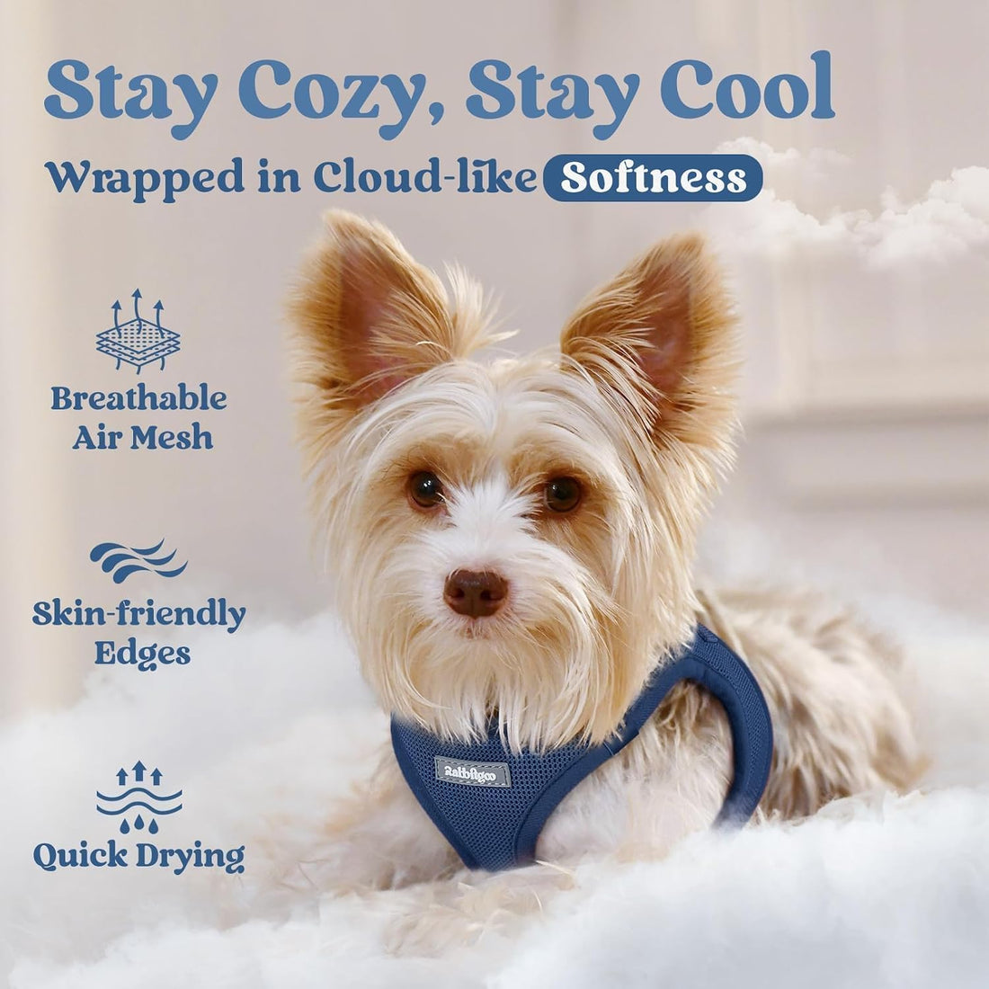 rabbitgoo Small Dog Harness, Step-in Soft Mesh Puppy Vest with Safety