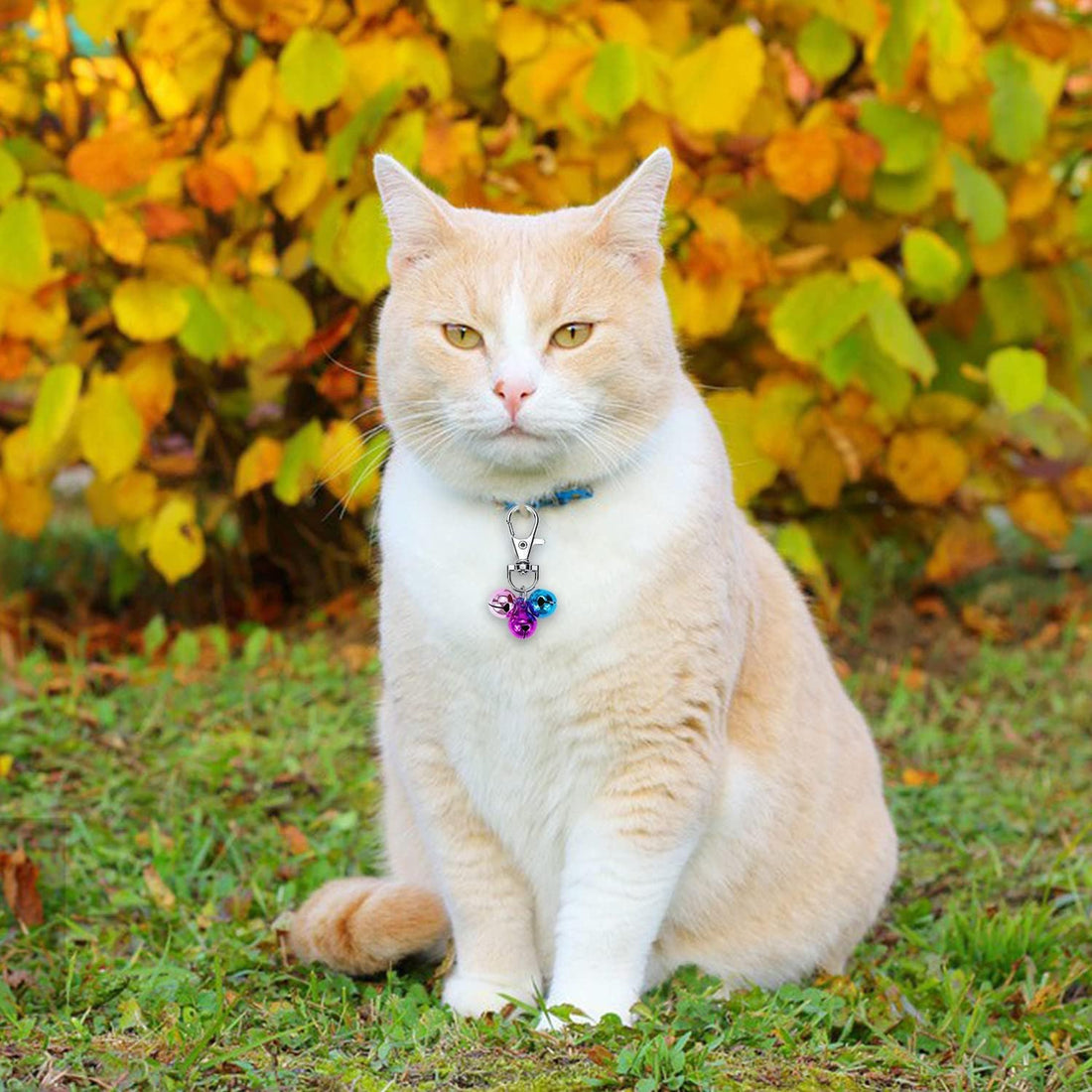 Wontee Cat Collar Bells Loud Dog Bell Training Charm Pendants for Pet