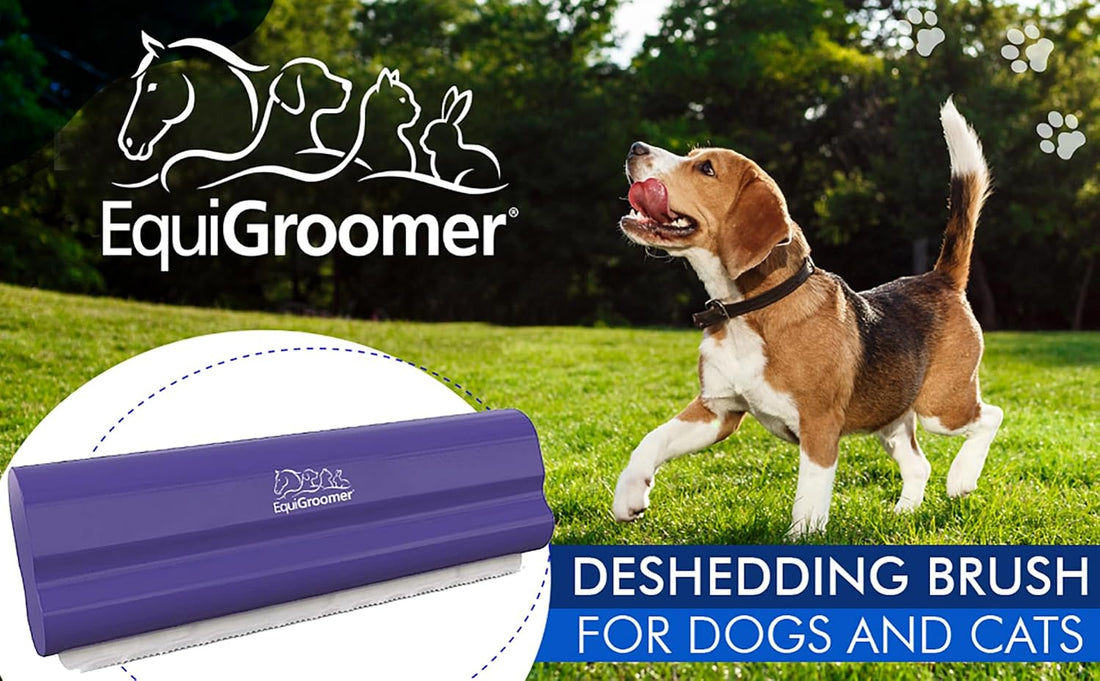 EasyGroomer Deshedding Brush for Dogs & Cats