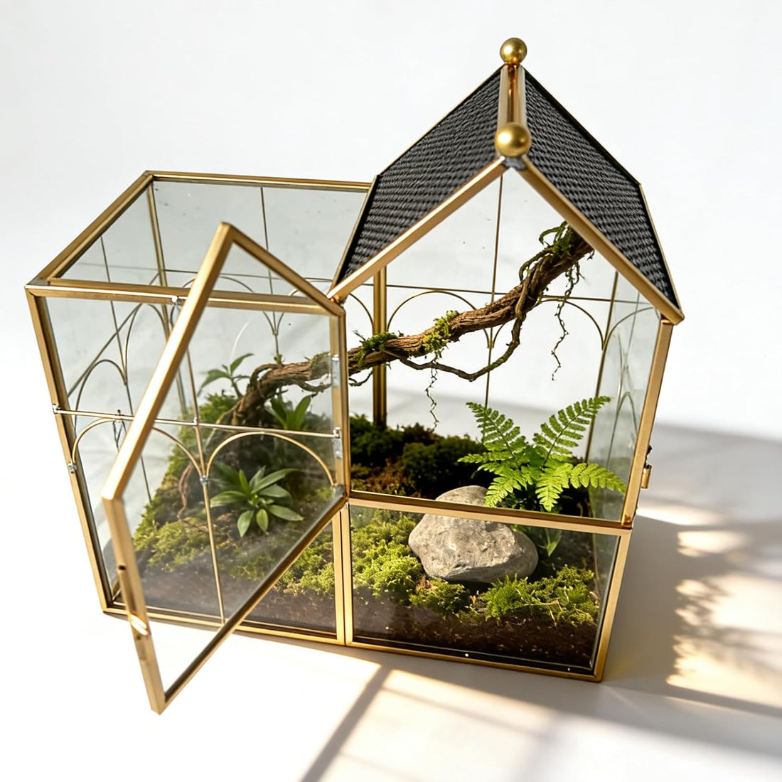 Ready-to-Use Glass Terrarium with Vents