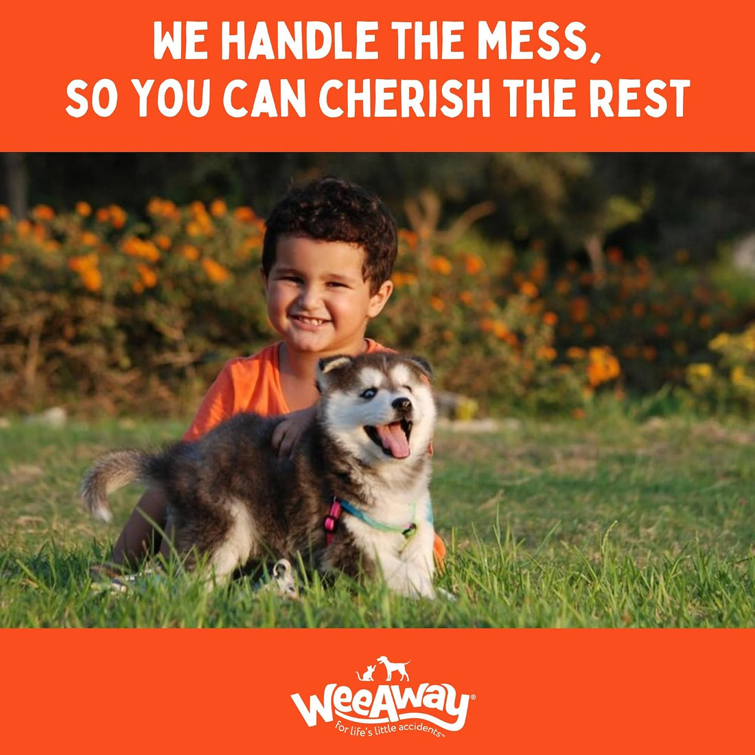 Wee Away Original Formula Concentrated Stain & Odor Remover