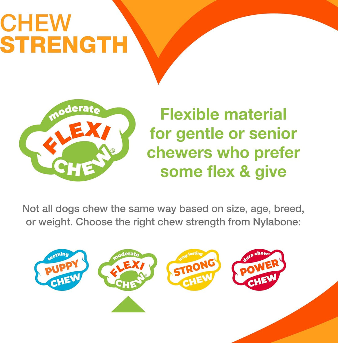 Nylabone Moderate Chew Flexi Chew Bone Peanut Butter & Bacon