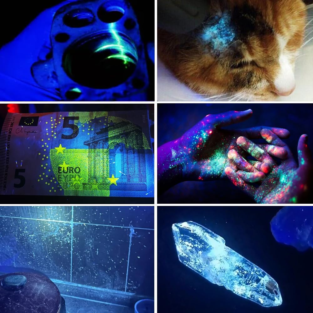 UV Black Light 365 nm Rechargeable Flashlight with Filter for Pet