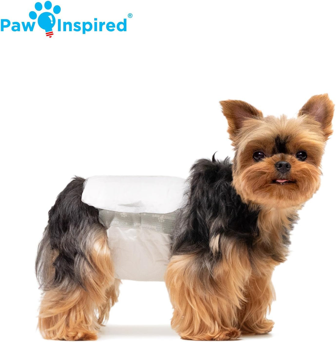 Paw Inspired Disposable Male Dog Wraps