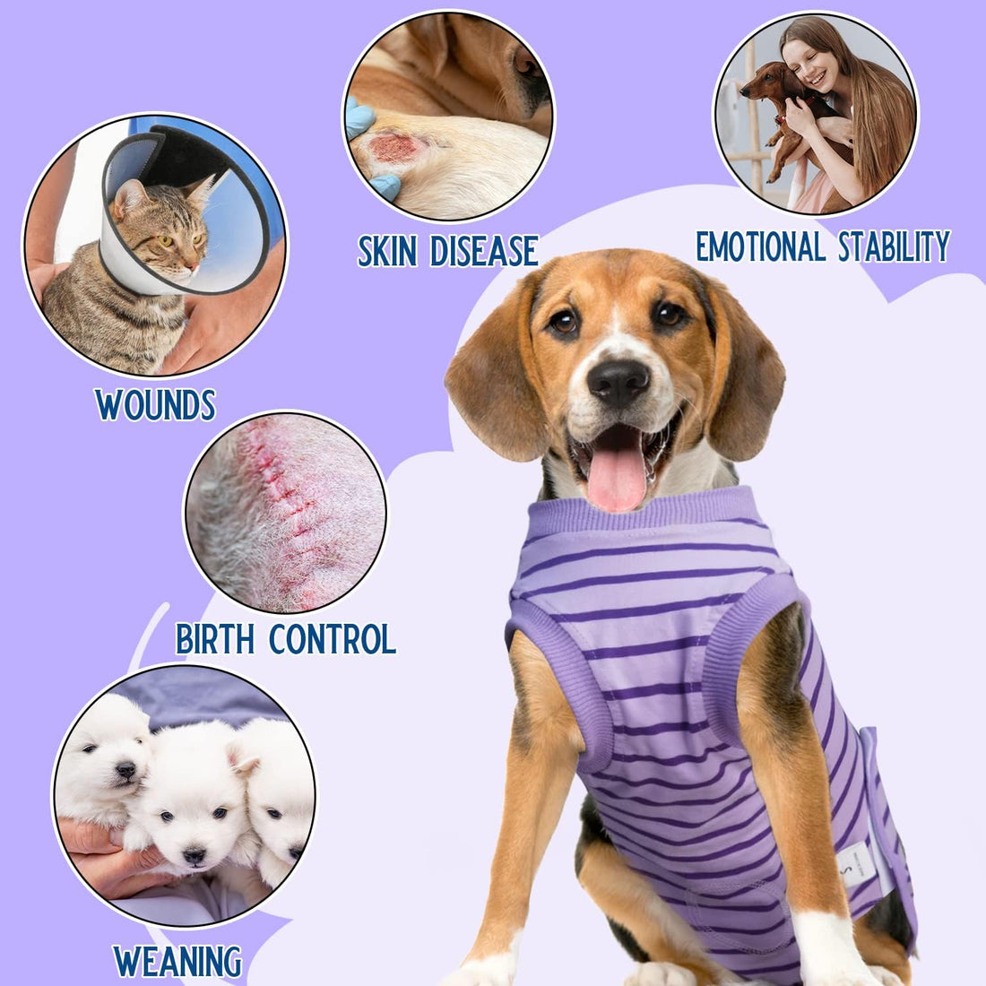Dog Recovery Suit, Surgical Recovery Suit for Male Female Dogs Cats