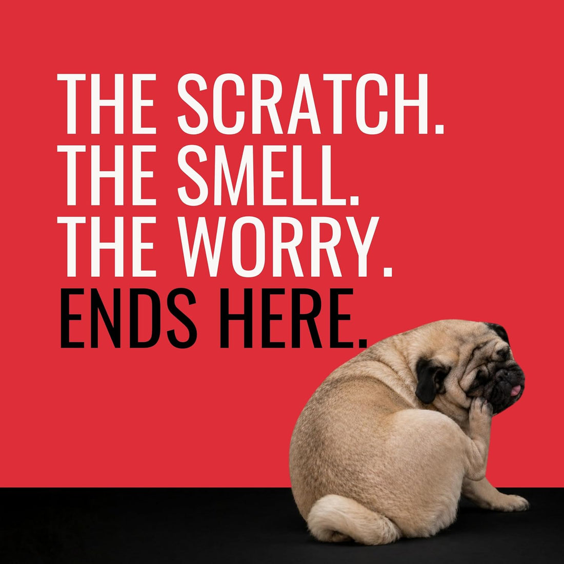 NOVEHA Pet Wipes - Formulated Pet Wipes - for Facial and Finger Folds