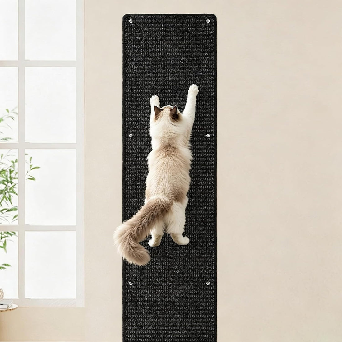 FHTONGE 71x15.8" Thickened Cat Wall Climbing Carpet with 16 Fixed