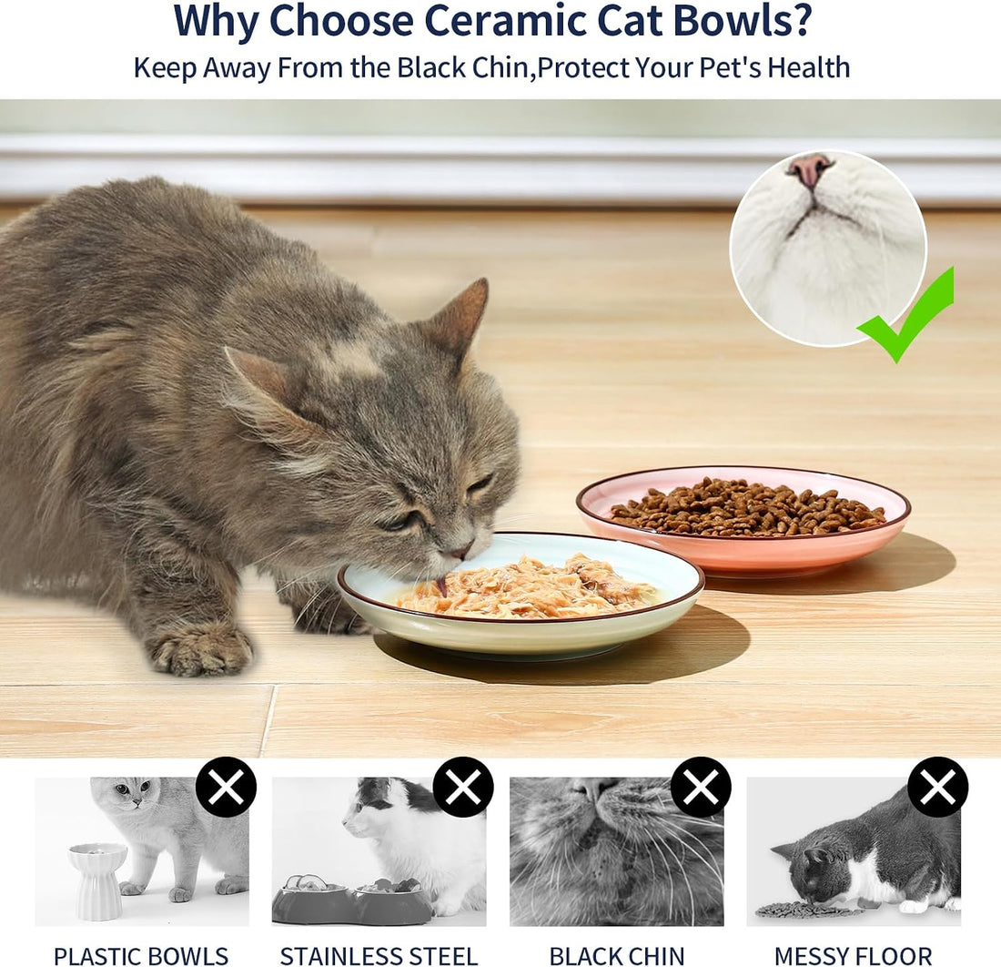 Selamica 6 Inch Ceramic Cat Bowls, Set of 6