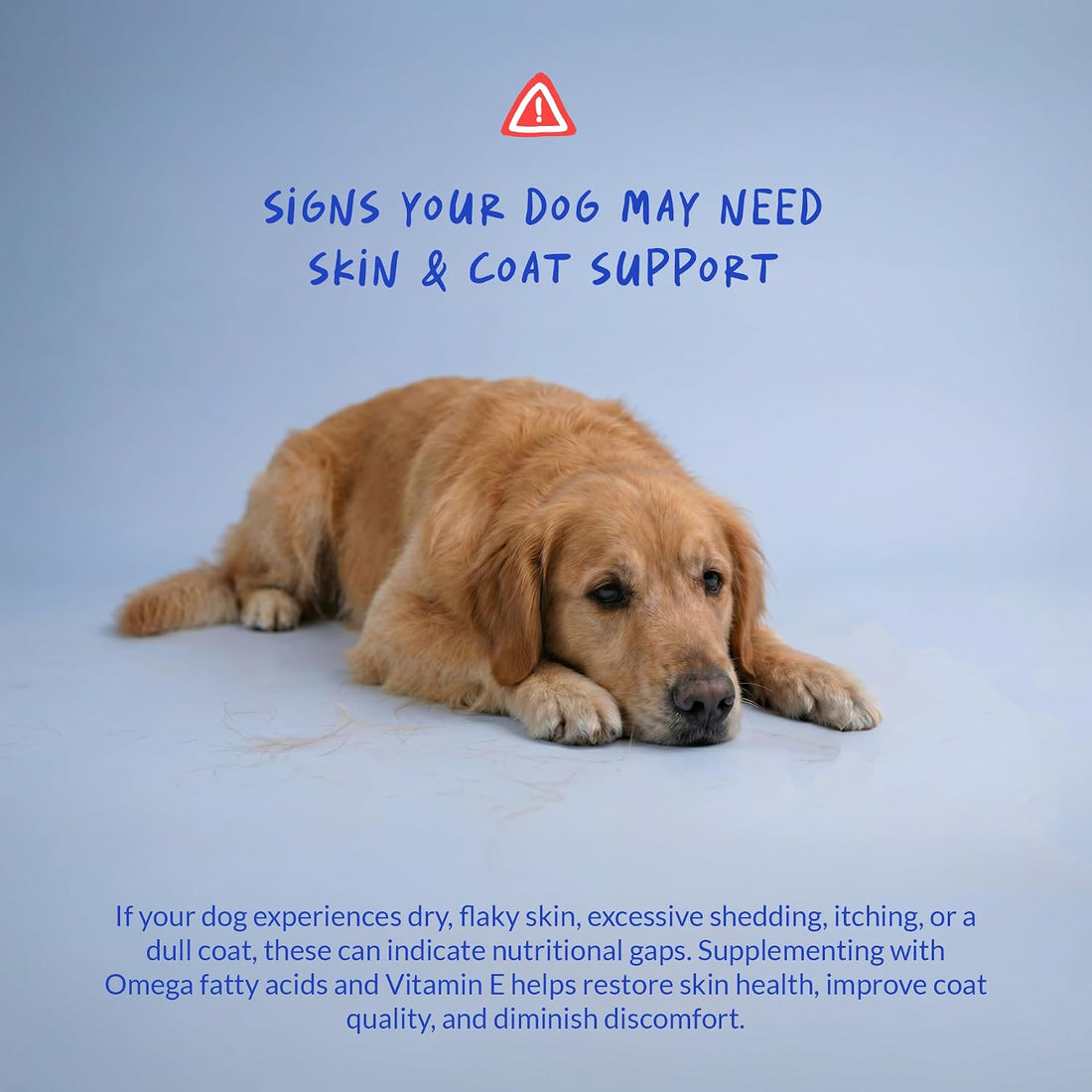 Omega 3 Fish Oil for Dogs - 120 Chewable Tablets - with Omega 3, 6