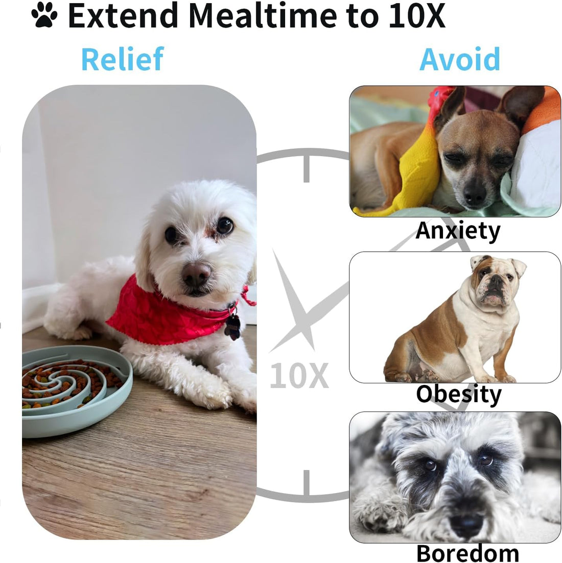 Bifeaw Slow Feeder Dog Bowls