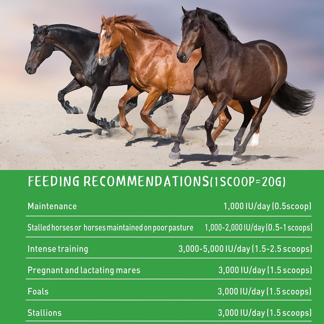Vitamin E Horse Supplement Powder for Muscle, Nerve & Immune Support