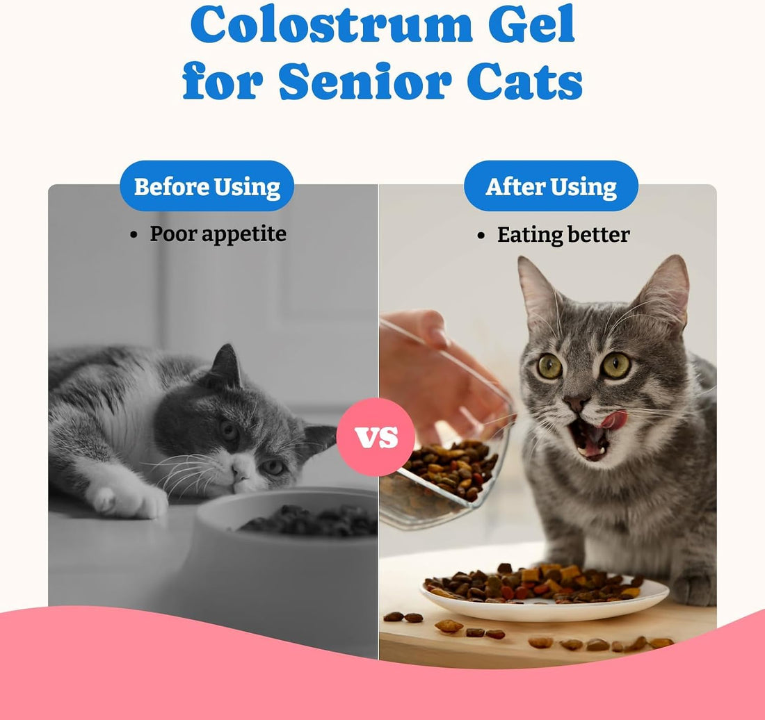 3 Pack Bovine Colostrum Nutrical Gel for Dogs & Cats,Support Appetite