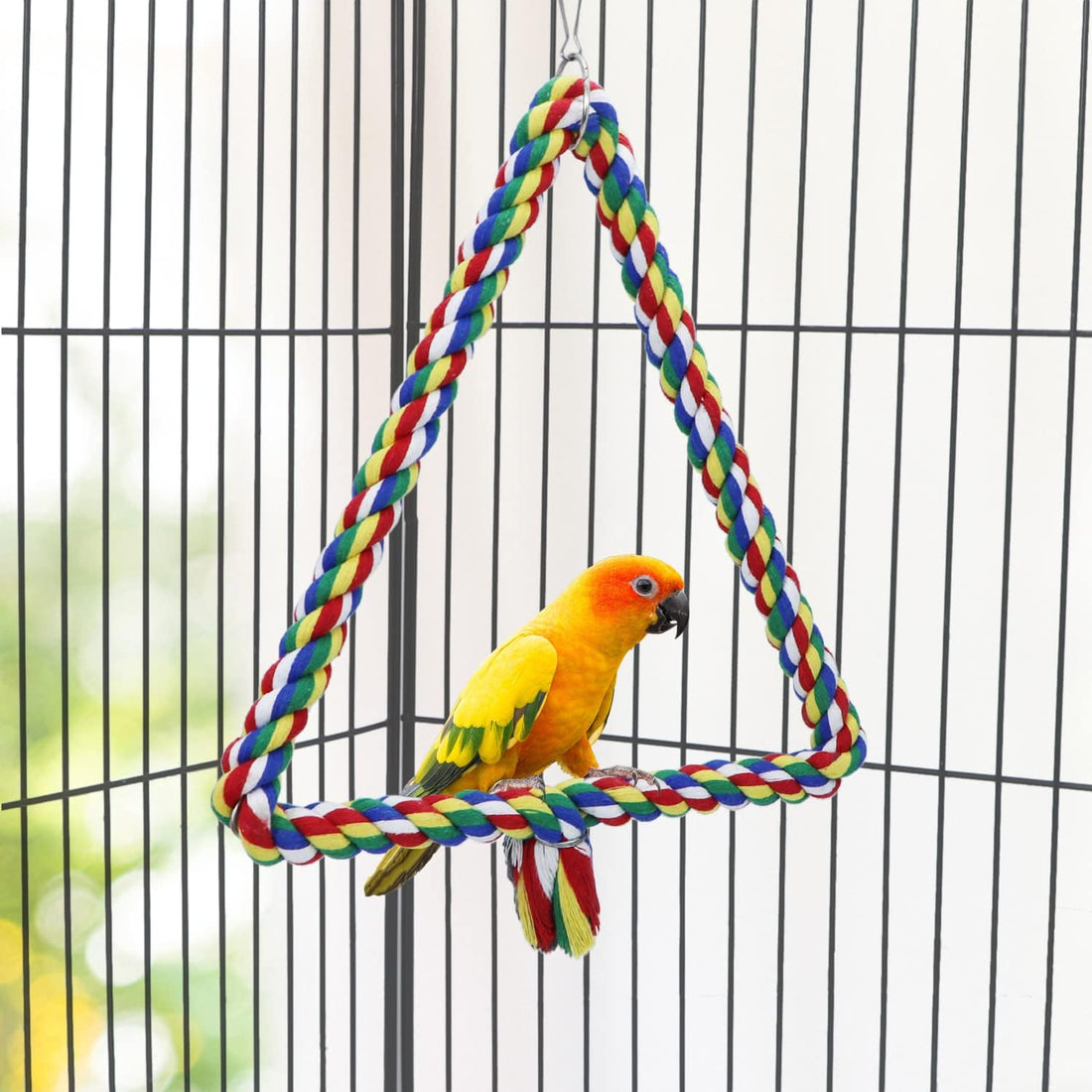 Bird Triangle Rope Swing Colorful Perch Chewing Toy for Parrots