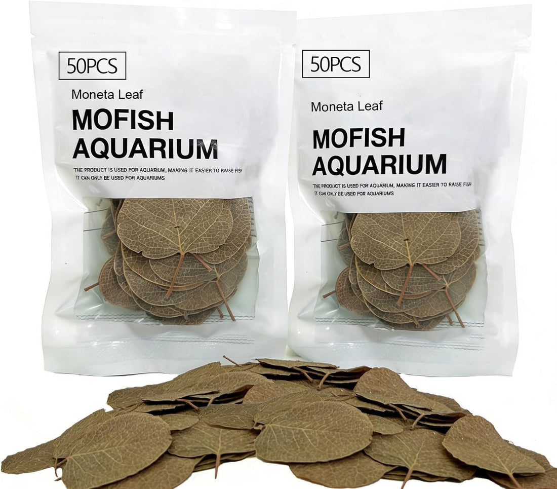 100Pcs Indian Almond Leaves Longan Leaves Aquarium Decor Water