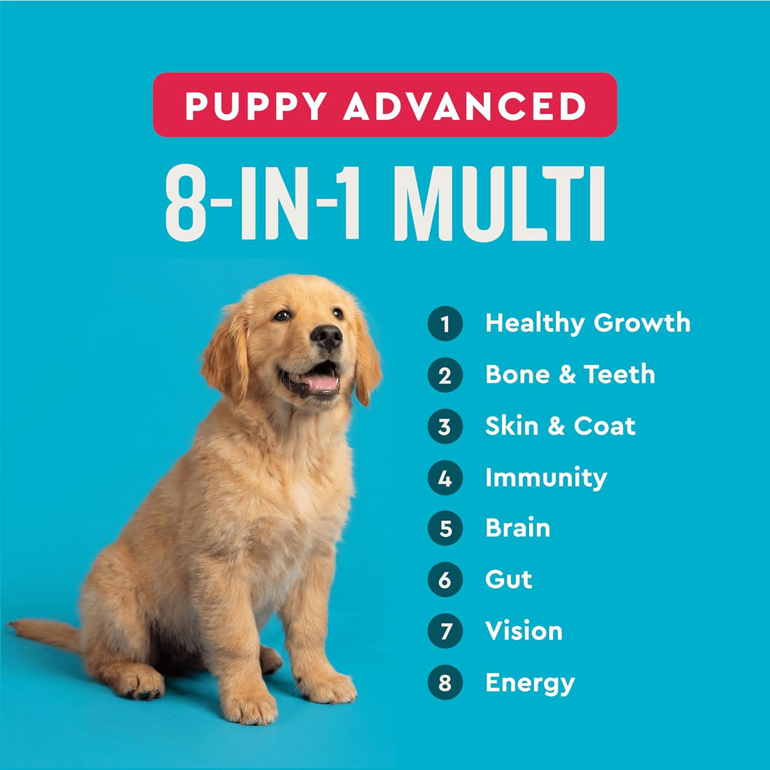VetIQ 8-in-1 Multifunctional Dog Supplement Chews, 90ct