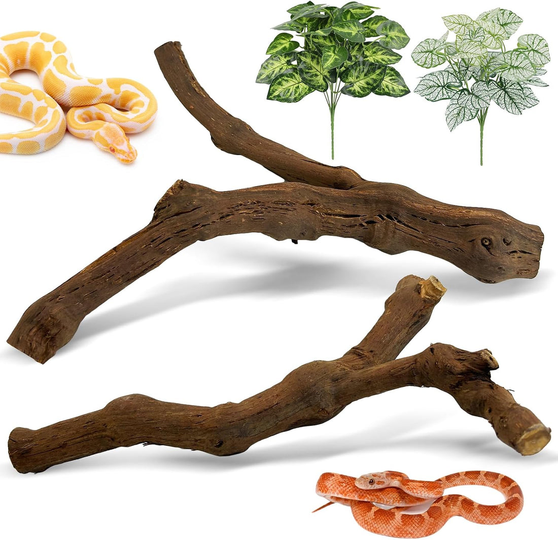 Reptile Branch Decor, Snake Climbing Wood Branches, Terrarium Logs