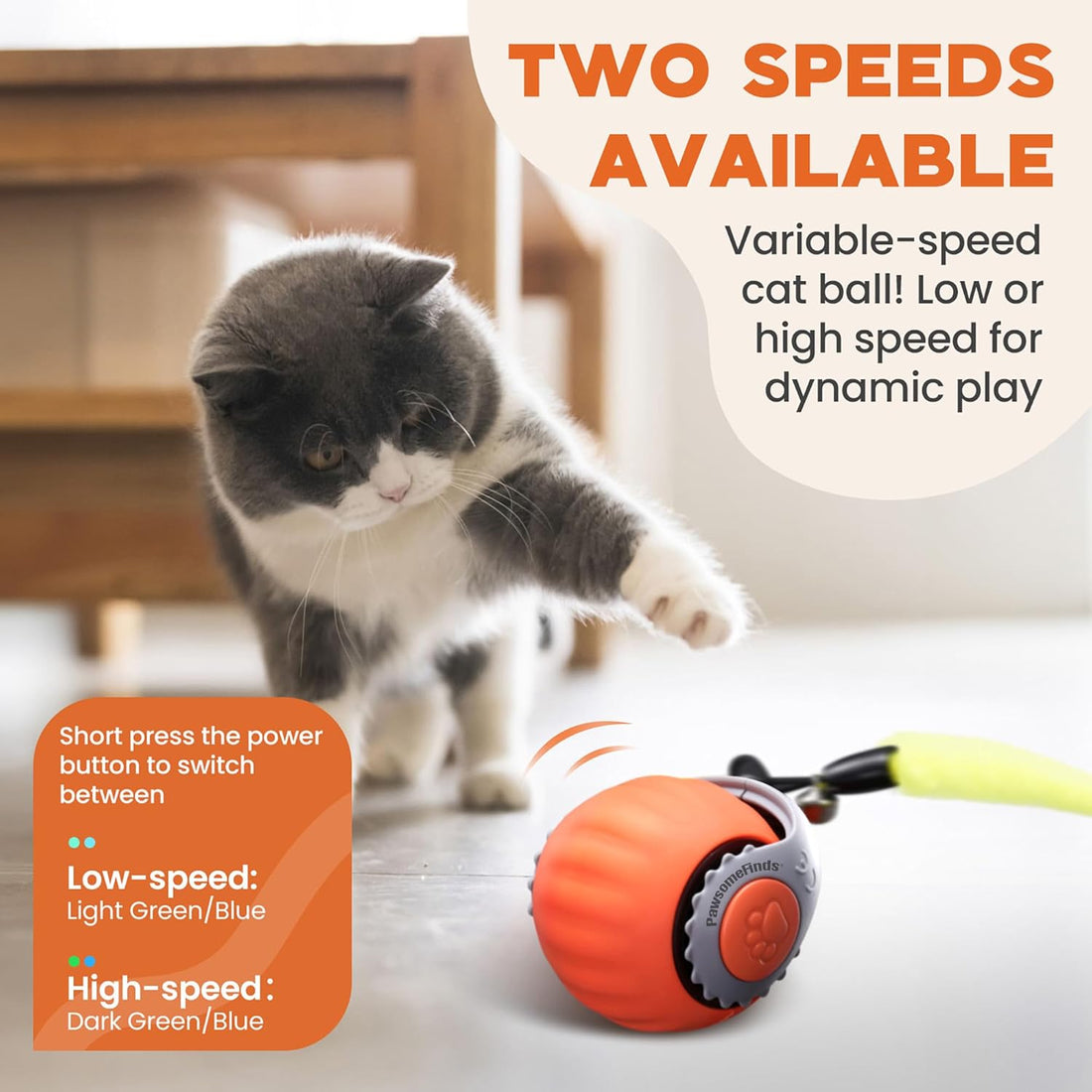 Interactive Cat Toy, 2-Speed Auto Ball, USB-C Rechargeable