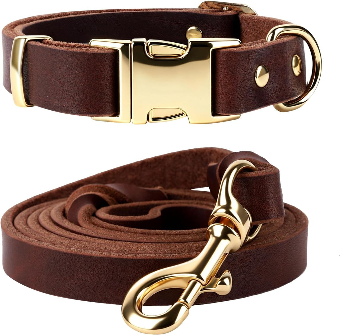 Leather Dog Collar and Leash Set