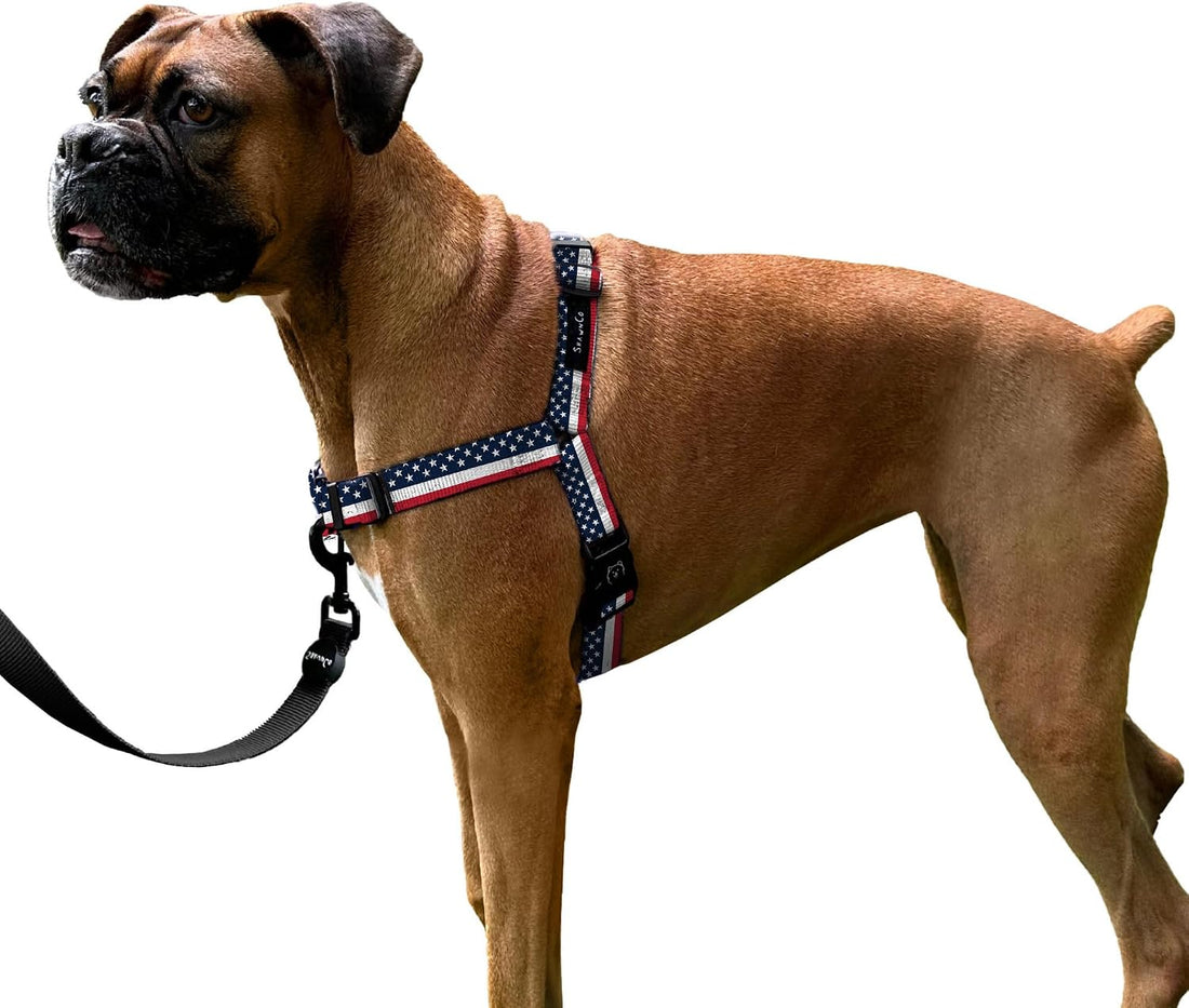 ShawnCo Dream Walk No-Pull Dog Harness