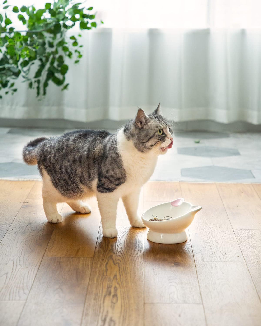 Raised Ceramic Cat Food Bowl, Tilted for Neck Comfort