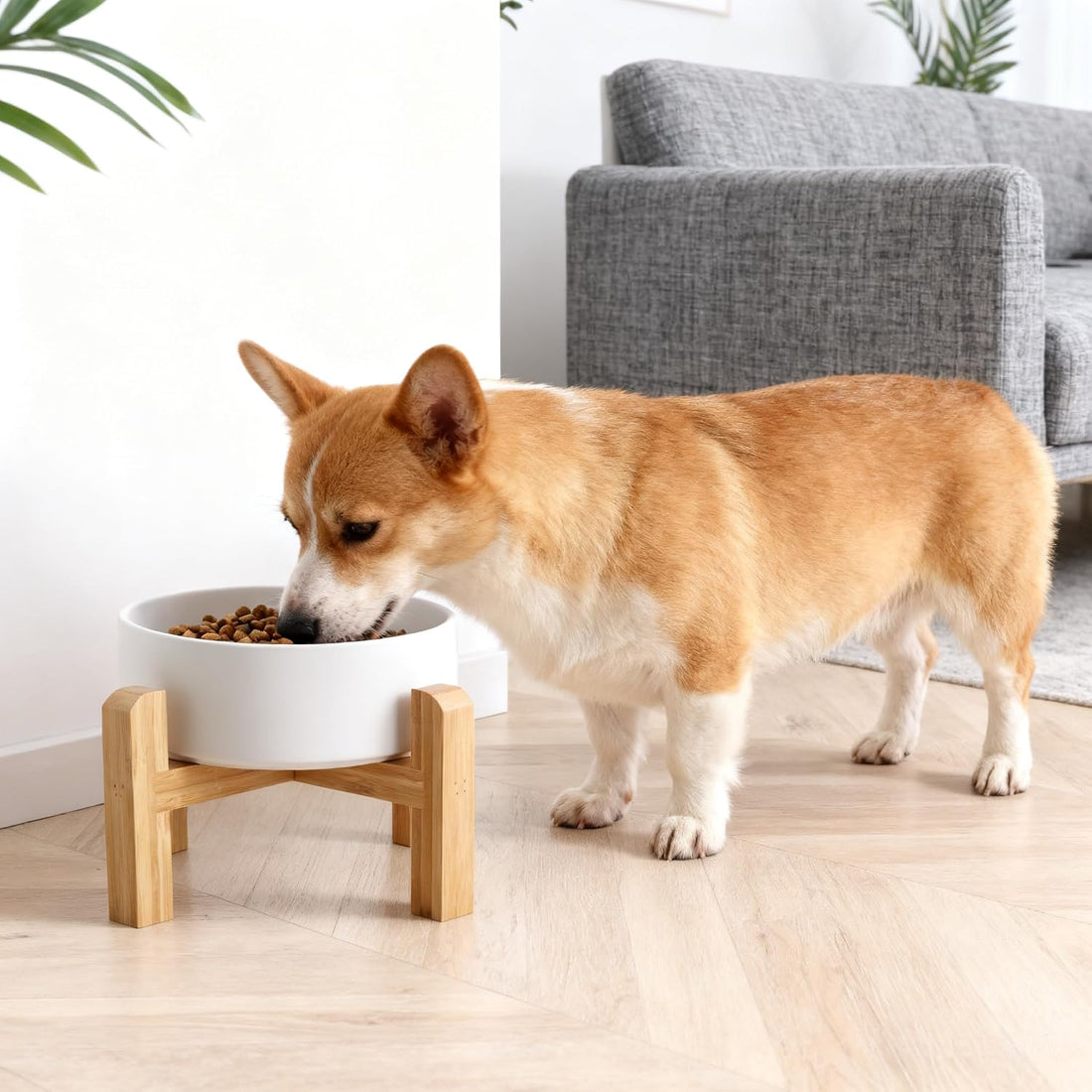 Elevated/Raised Ceramic Dog Bowl with Bamboo Stand，6 Inch 3.6 Cups