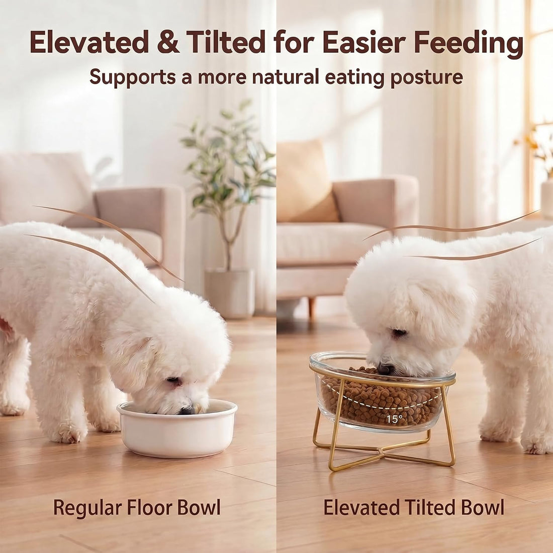 Large Glass Tilted Elevated Cat Dog Bowl Raised Cat Food Water Bowl