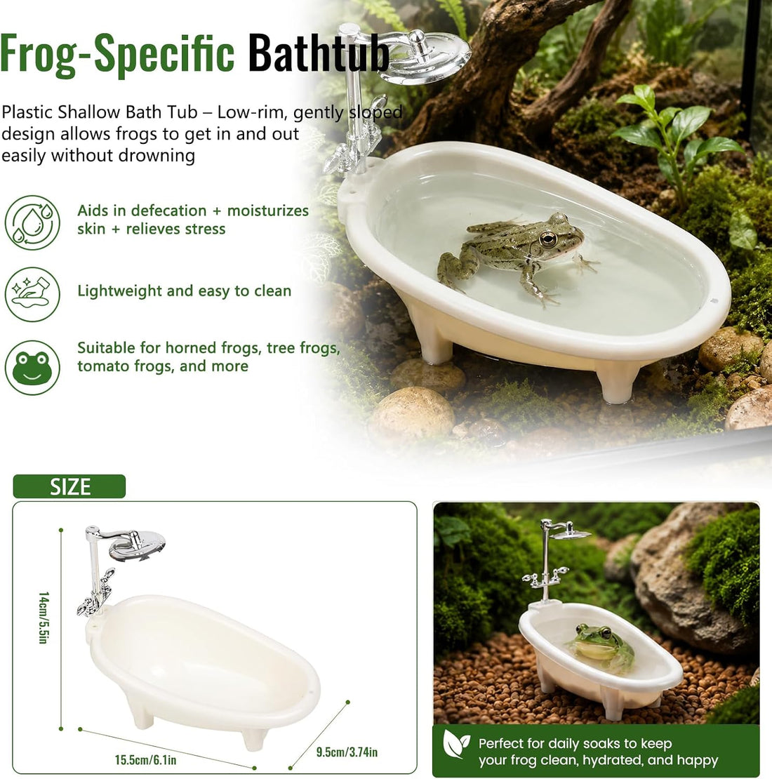 Frog Tank Accessories Set – Complete Tree Frog Habitat Kit