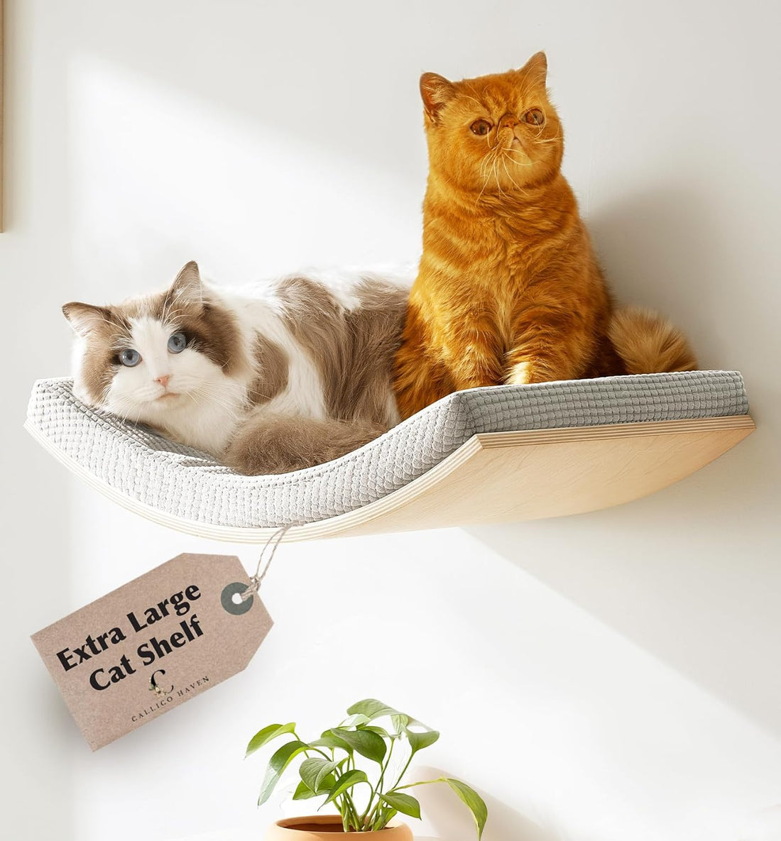 Extra Large 23.6”x12.6” CALLICO HAVEN- Stylish Cat Wall Shelves