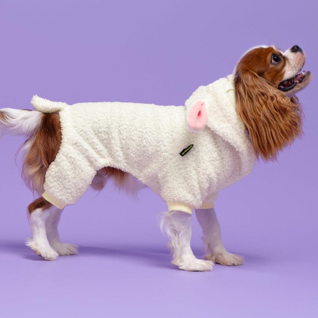 Fitwarm Halloween Sheep Dog Costumes