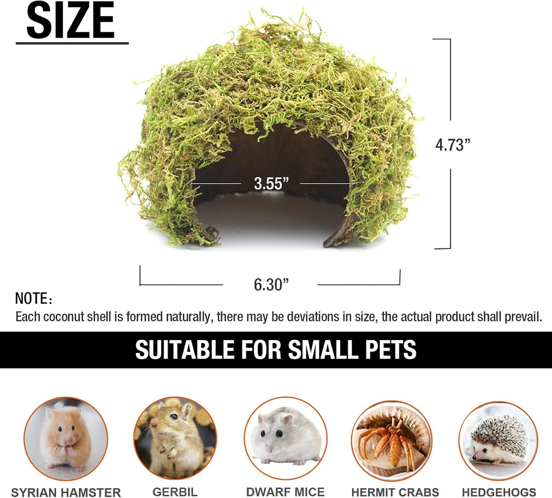 Hamster Hideout - Large, Natural Moss, Handcrafted for Syrian Hamsters