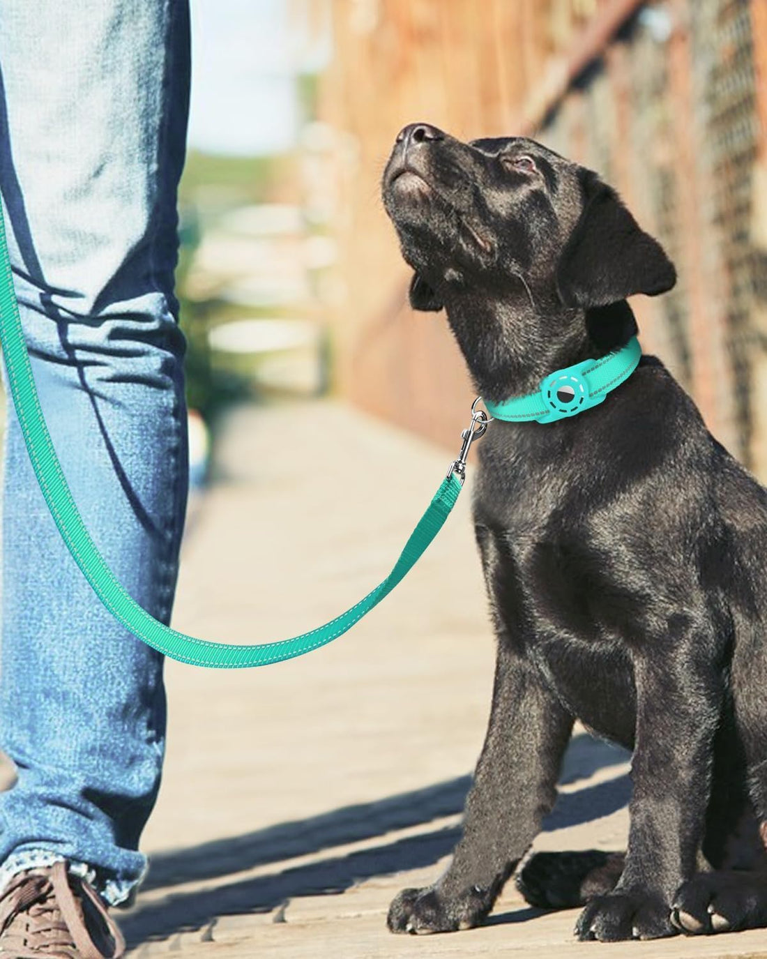 6FT Reflective Dog Leash, Padded Handle for Small Medium Dogs