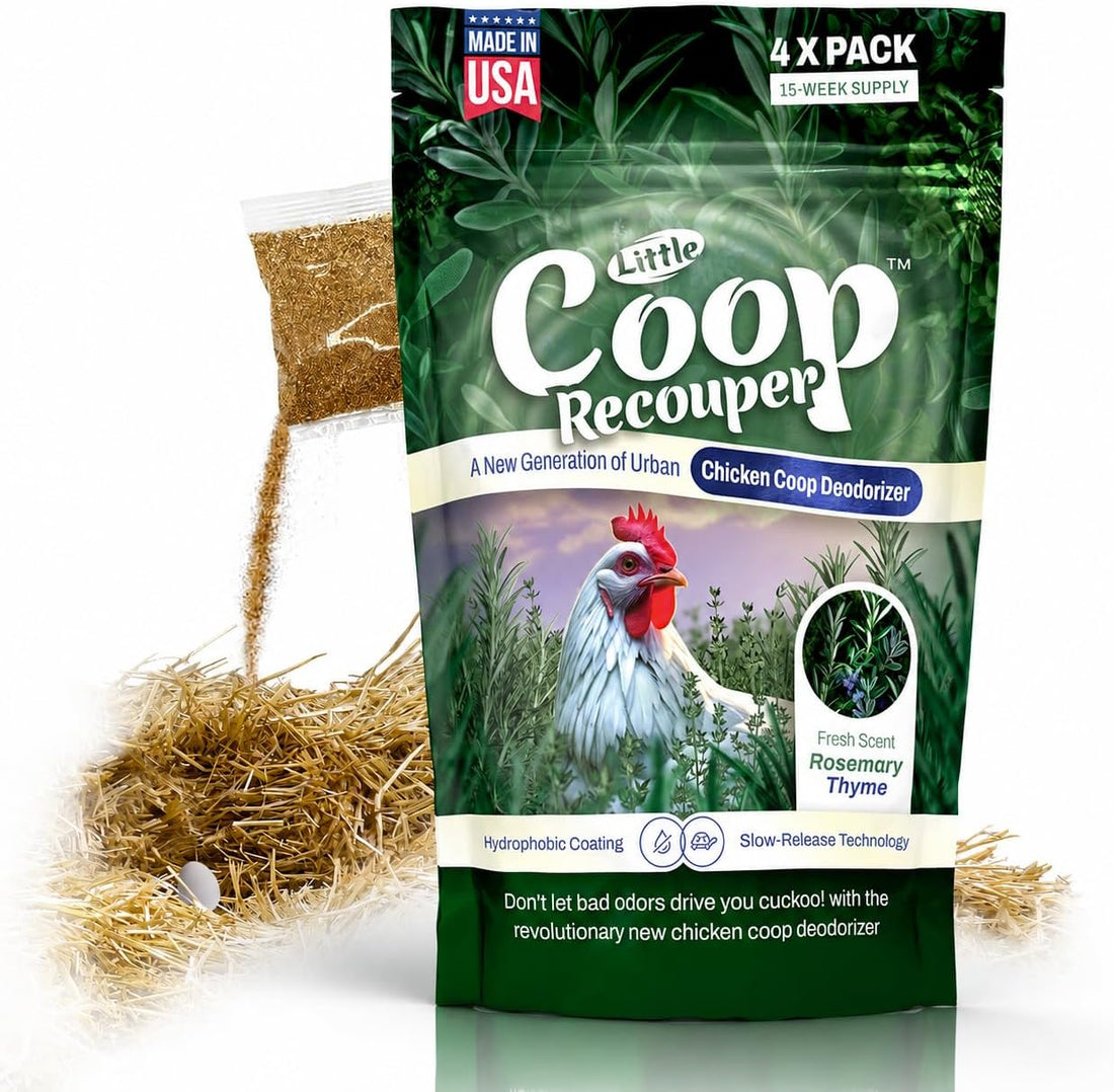 Little Coop Recouper | a New Generation Of Urban Chicken Coop