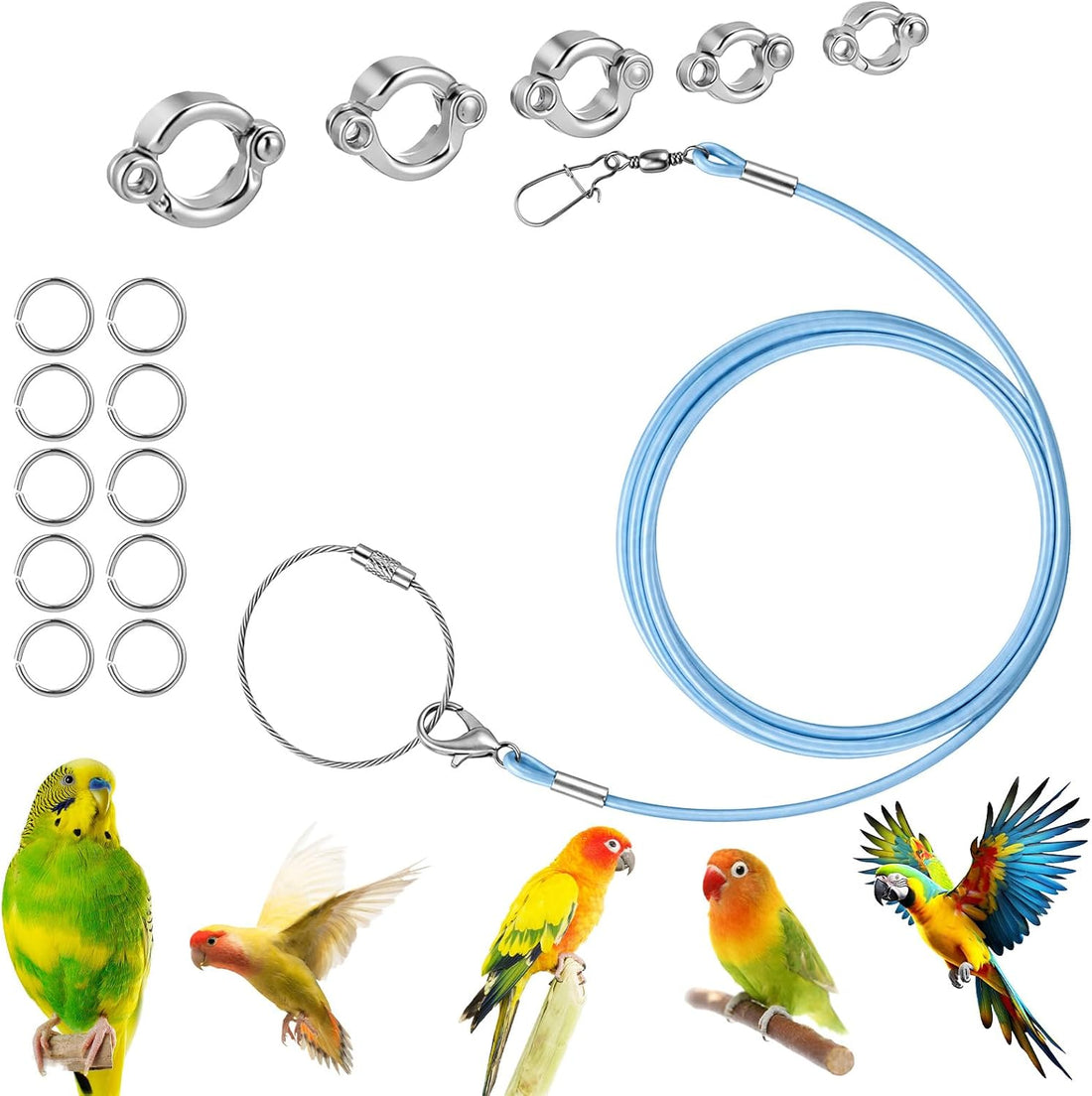 Bird Leash with 5 Different Size Foot Ring Parrot Flying Harness