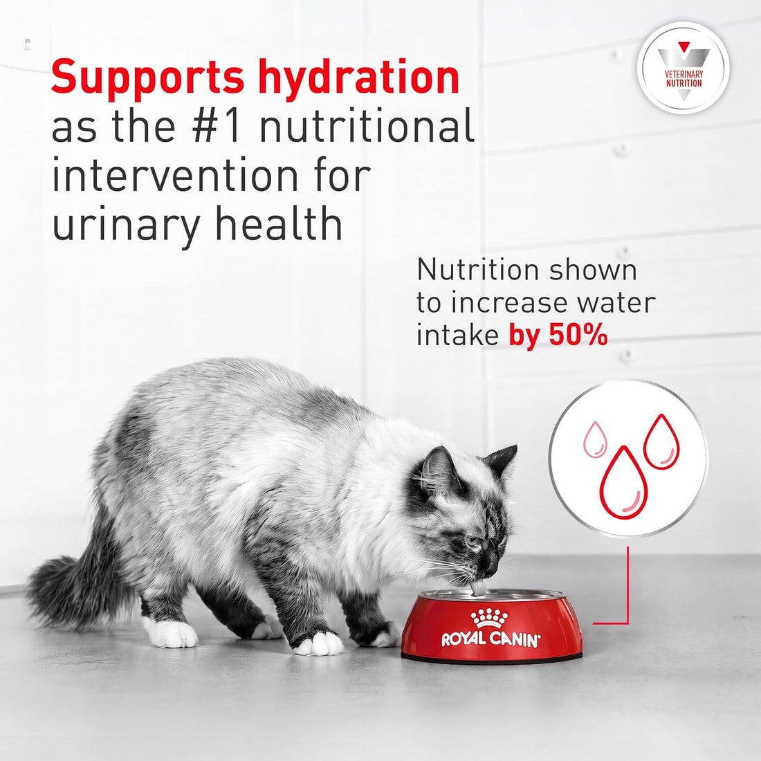 ROYAL CANIN Veterinary Diet Feline Urinary SO Adult Morsels in Gravy