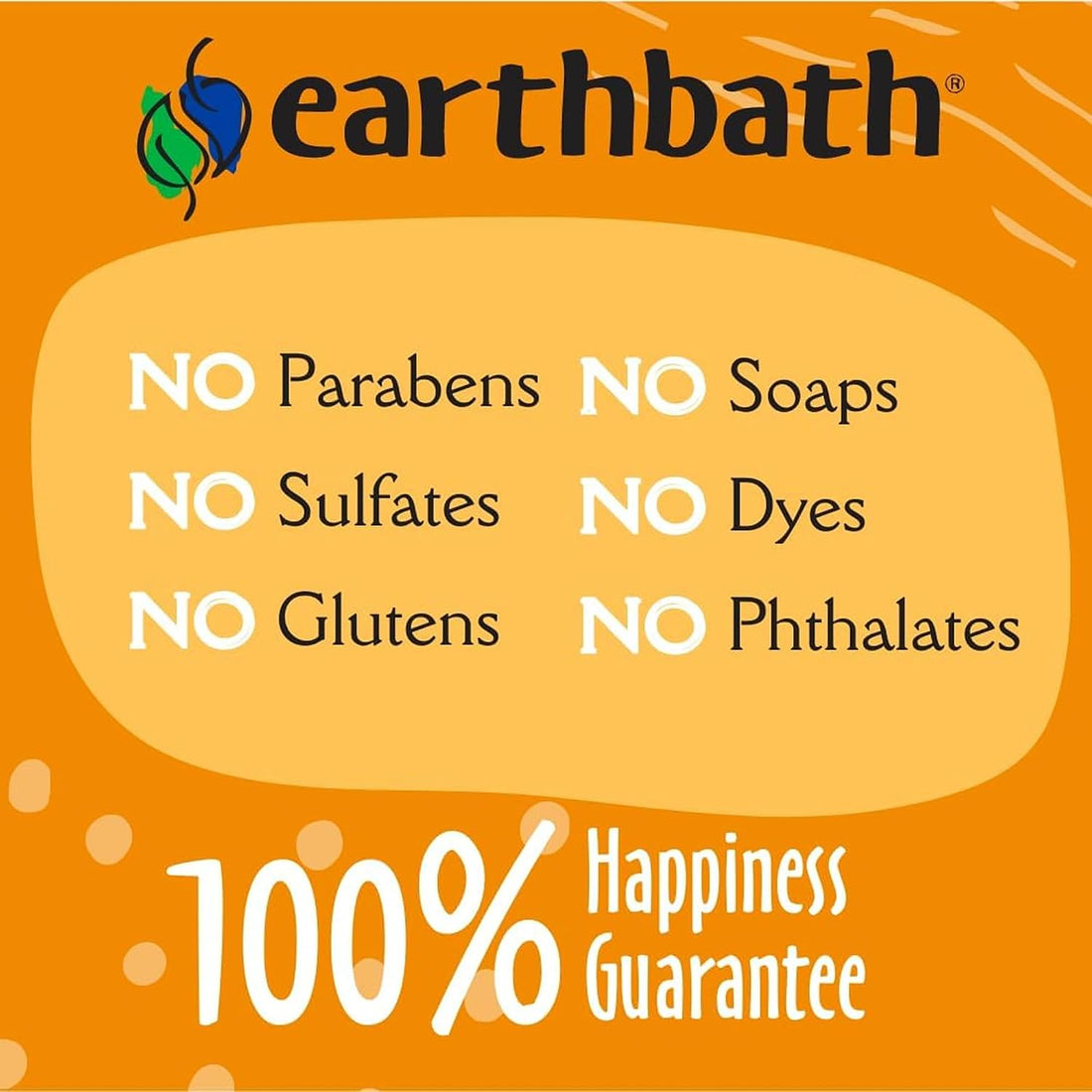 earthbath Hypoallergenic Grooming Cat Wipes, 100 Count (1 Pack)