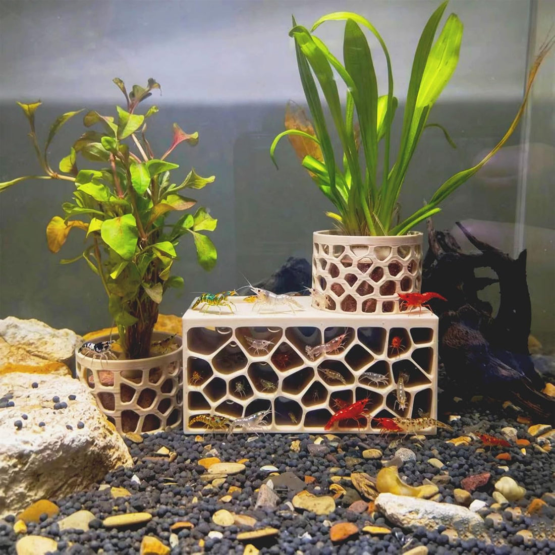 Porous Aquarium Shrimp Hideout with 2 Plant Cups
