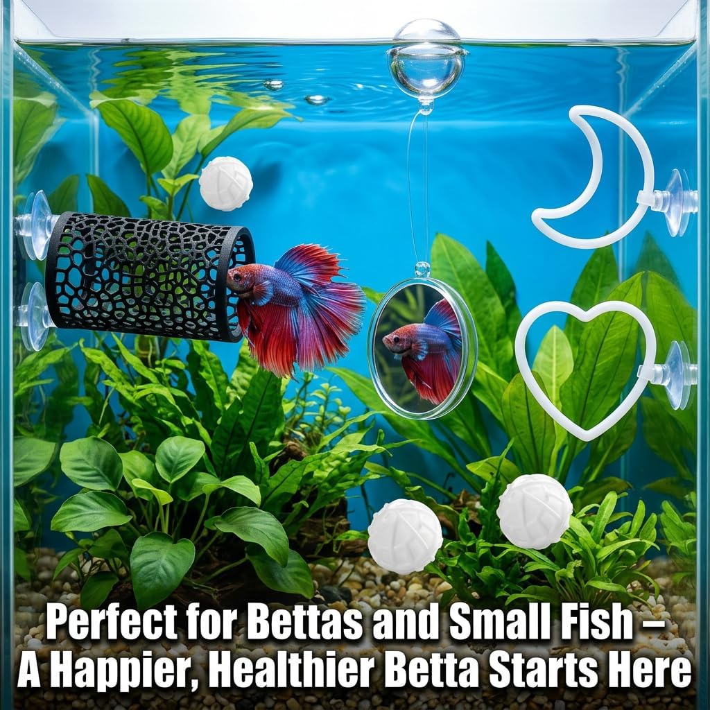 7Pcs Betta Fish Toys, Tank Accessories, Mirror & Training Rings