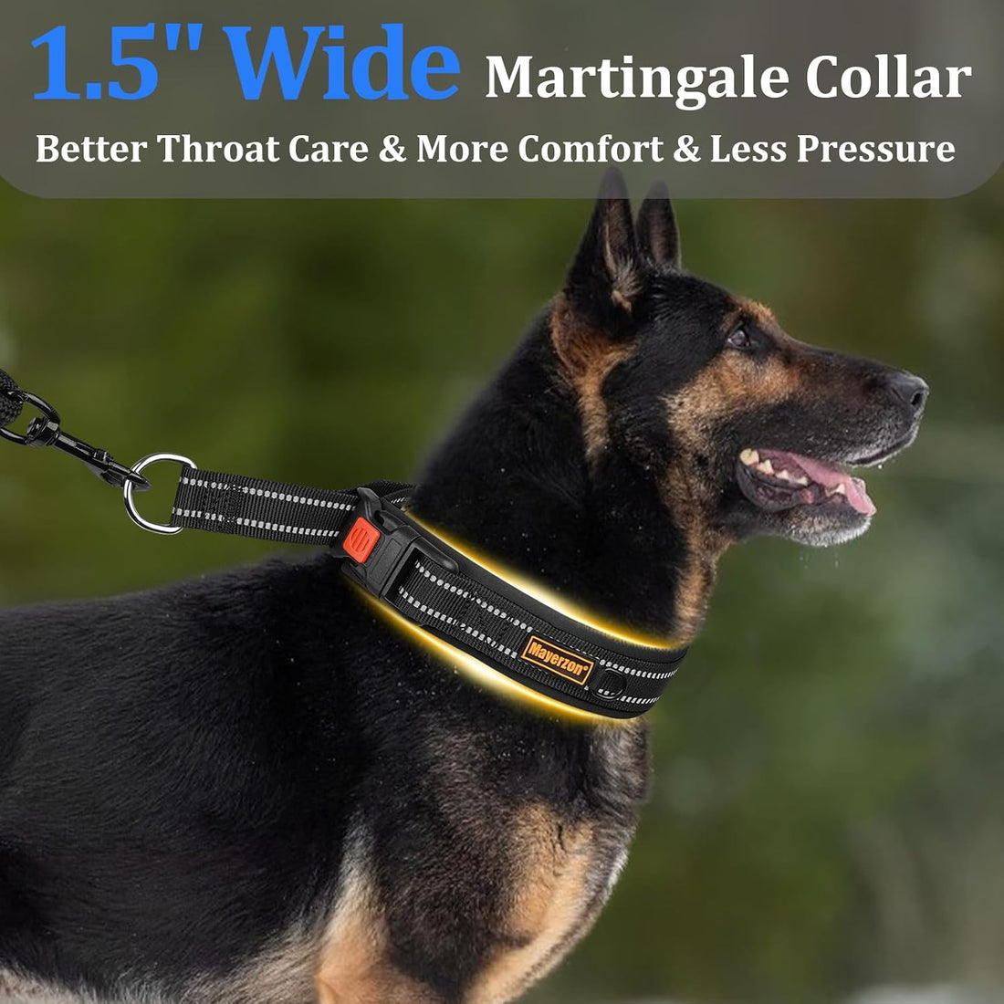 Mayerzon 1.5" Wide Martingale Collar for Small Medium Dogs Precision
