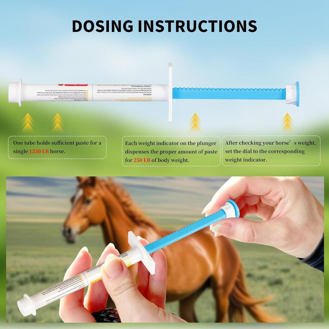 Equine Paste 1.87% | Apple Flavored – 6.08g Tube for Horses, 1-Pack