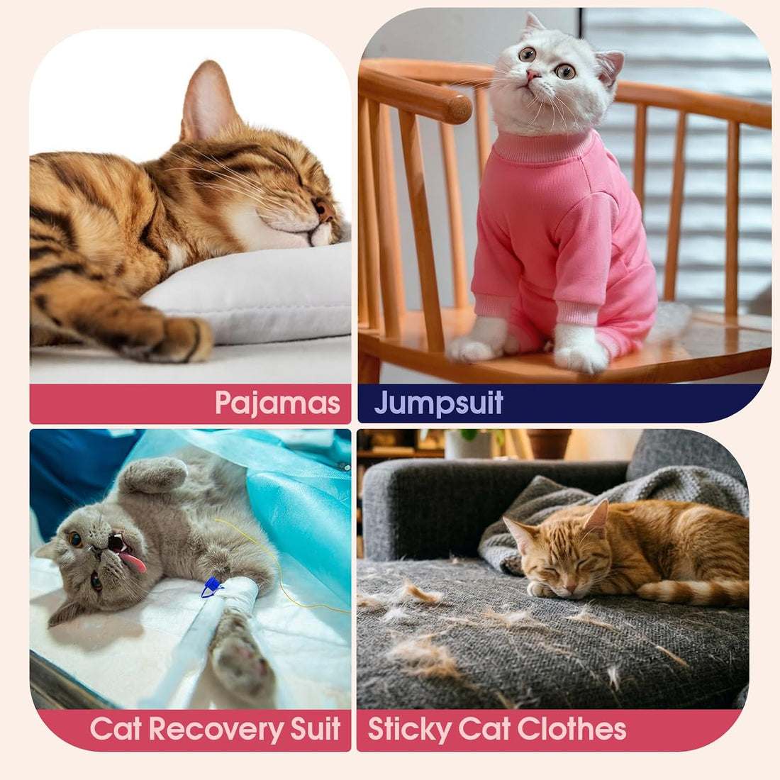 Cat Recovery Suit for Spay & Neuter,Hind Leg Healing Protector
