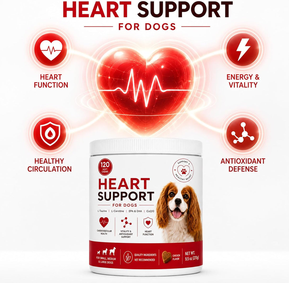 Taurine for Dogs - Heart Support Supplement, with L-Taurine