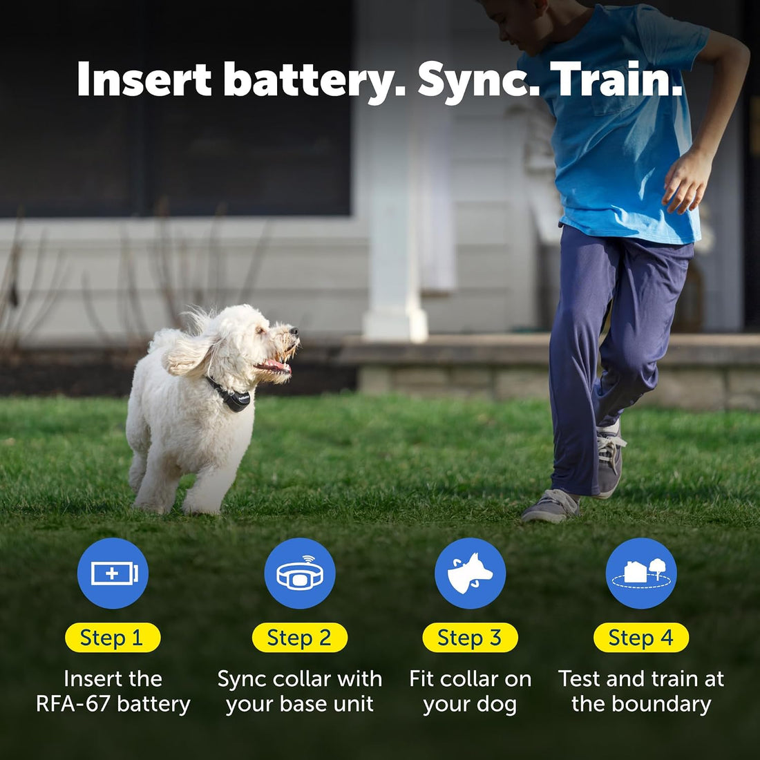 PetSafe Stay & Play Wireless Pet Fence with Replaceable Battery