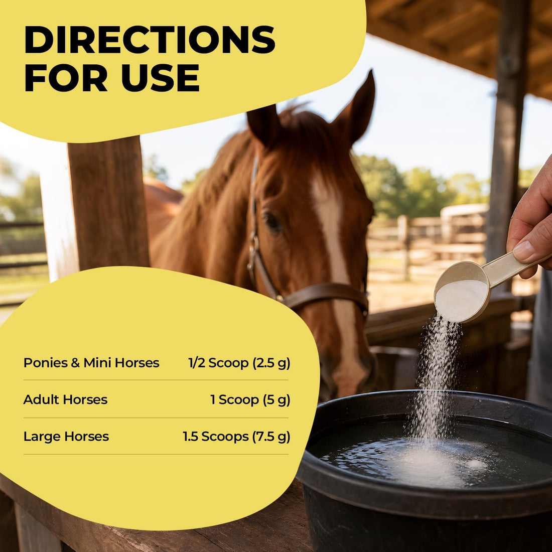 Insulin Resistance Supplement for Horses